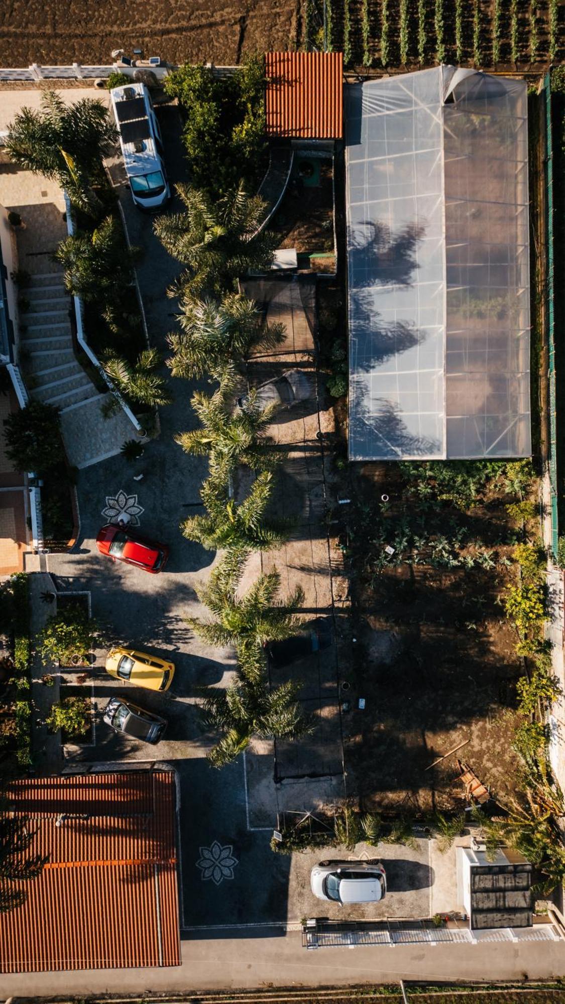 Villa Aurelia Pompei Dış mekan fotoğraf